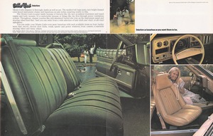 1974 Chevrolet Monte Carlo (Cdn)-08-09.jpg
